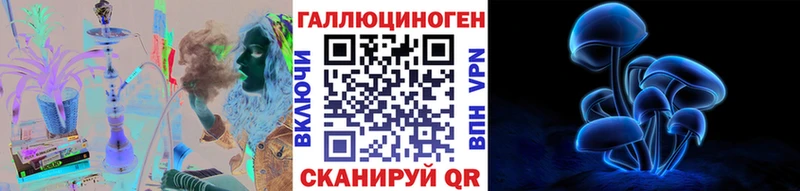 Купить  Венёв  Галлюциногенные грибы Psilocybe 