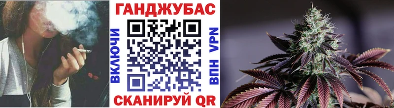 Бошки Шишки марихуана Венёв